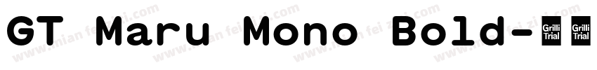 GT Maru Mono Bold字体转换